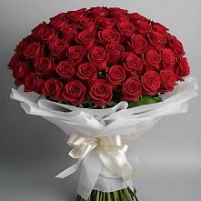 Букет 101 Красная роза Блэк Мэджик в Суде