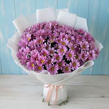 Букет цветов из:  Хризантемы в Суде