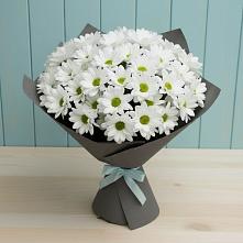 Букет цветов из:  Хризантемы в Суде