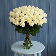 Букет 51 Белая роза Эдлесс Лав в Суде