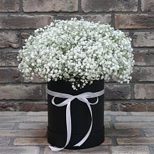 Цветочная композиция из Гипсофила в шляпной коробке в Суде