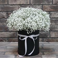 Цветочная композиция из Гипсофила в шляпной коробке в Суде