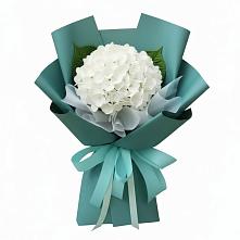 Букет цветов из:  Гортензия в Суде